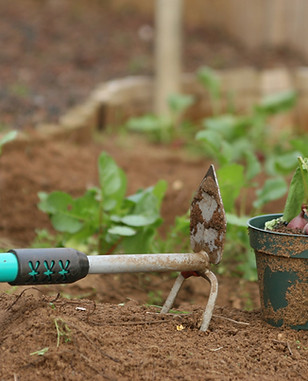 Weed Control