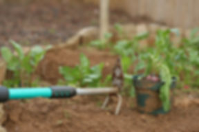 Gardening Rake