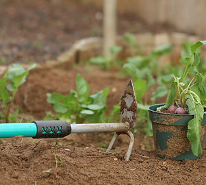 Gardening Rake