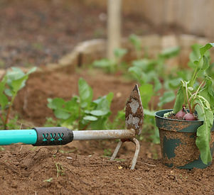 Gardening Rake