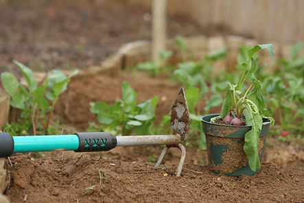Gardening Rake