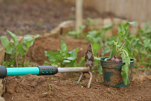 Gardening Rake