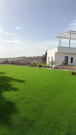 landscape house 2