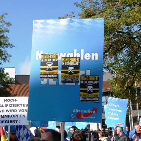 Winning without Majorities: How Europe’s Far Right Conquers by Controlling the Argument