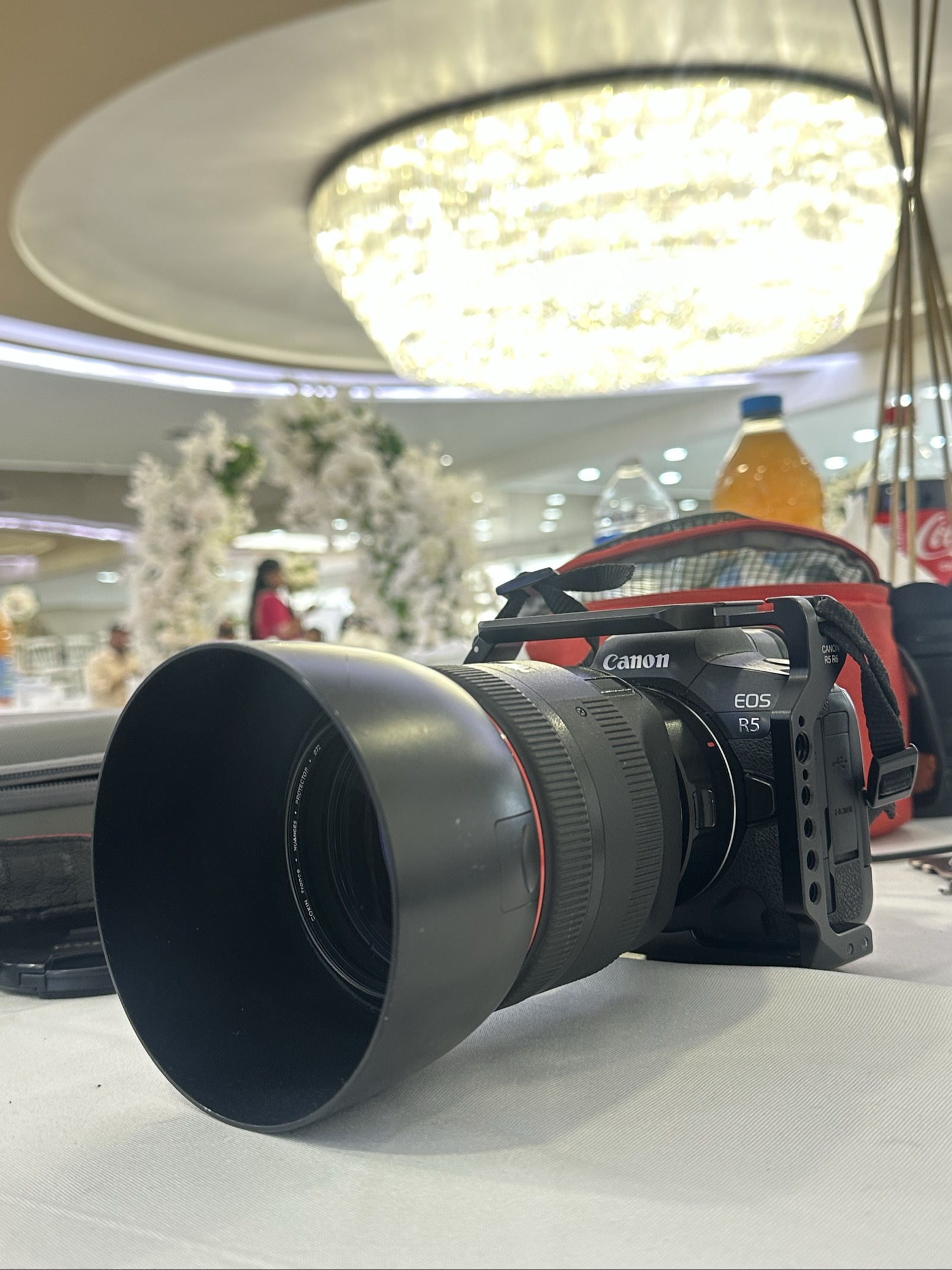 Canon EOS R5 & 85mm 1.2