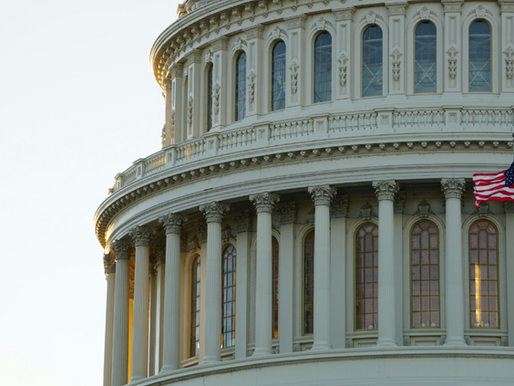 Flaw or Feature: Examining the US Government Shutdown