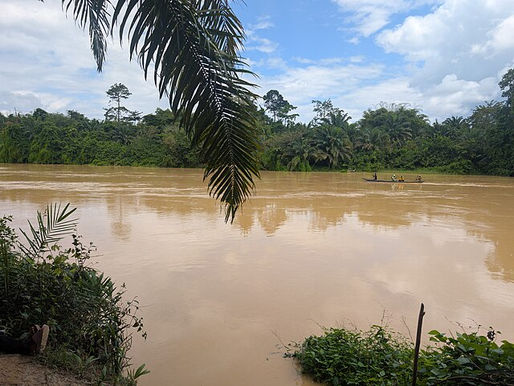 Galamsey In Ghana: An Aggressive Form of Neocolonialism or the Lovechild of Equal Sino-Ghanaian Responsibility?
