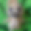 Thumbnail: Oogie Boogie Inspired Plush Pre-order 