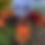 Thumbnail: Halloween Buckets Plush Accessory