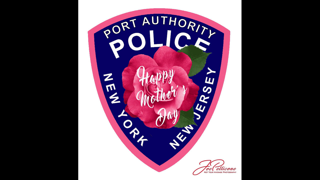 PAPD HOLIDAY PATCH STICKERS