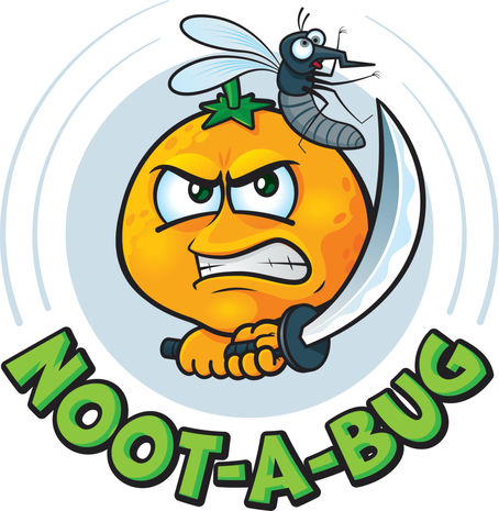 Natural Insect Repellent
