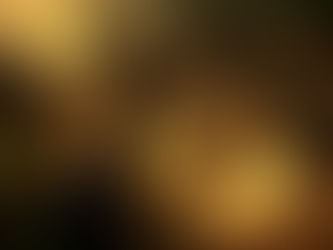 Developing a Roadmap for Commercialisation of Indigenous Knowledge-Based Products in South Africa