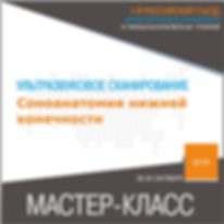 Соноанатомия нижней конечности.png