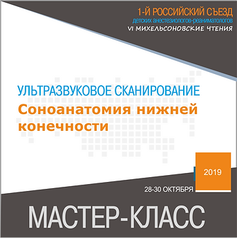 Соноанатомия нижней конечности.png