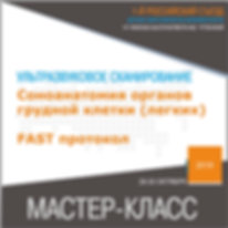 Соноанатомия органов.png