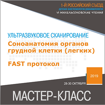 Соноанатомия органов.png
