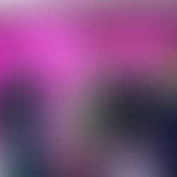 México, país invitado en la versión 52 del Festival Internacional de la Cultura Campesina