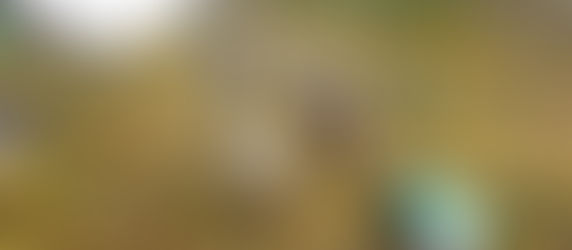 Con la siembra de 1.283 árboles comienza implementación de un gran bosque urbano en Duitama