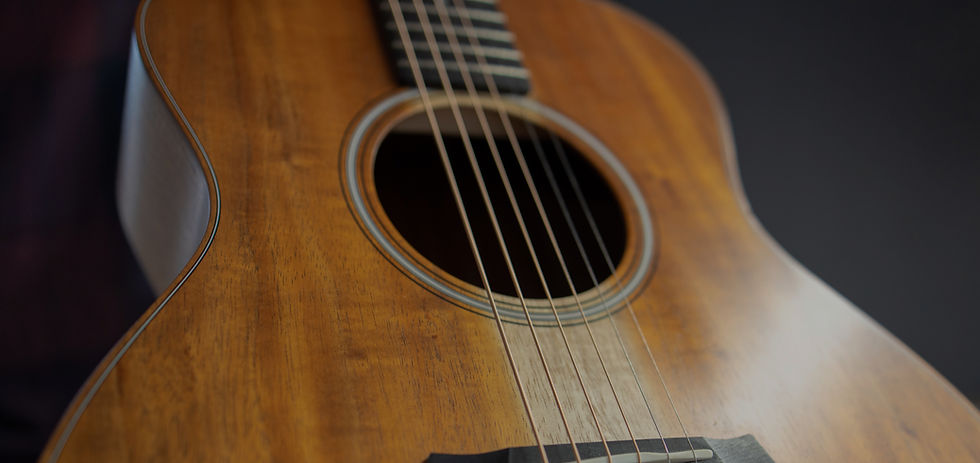 Guitar Repair