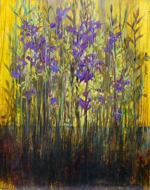Iris