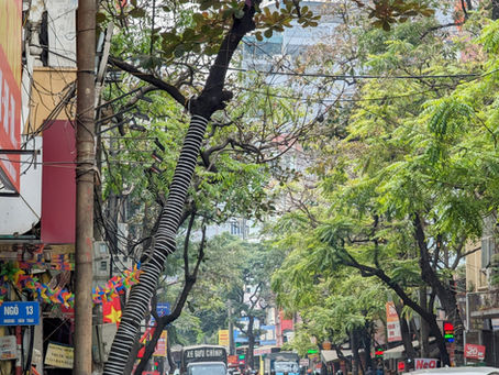 Hanoi
