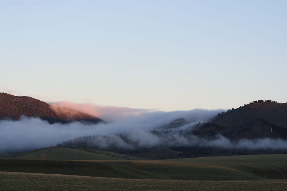 Montana morning