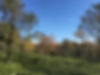 IMG_2600.jpeg