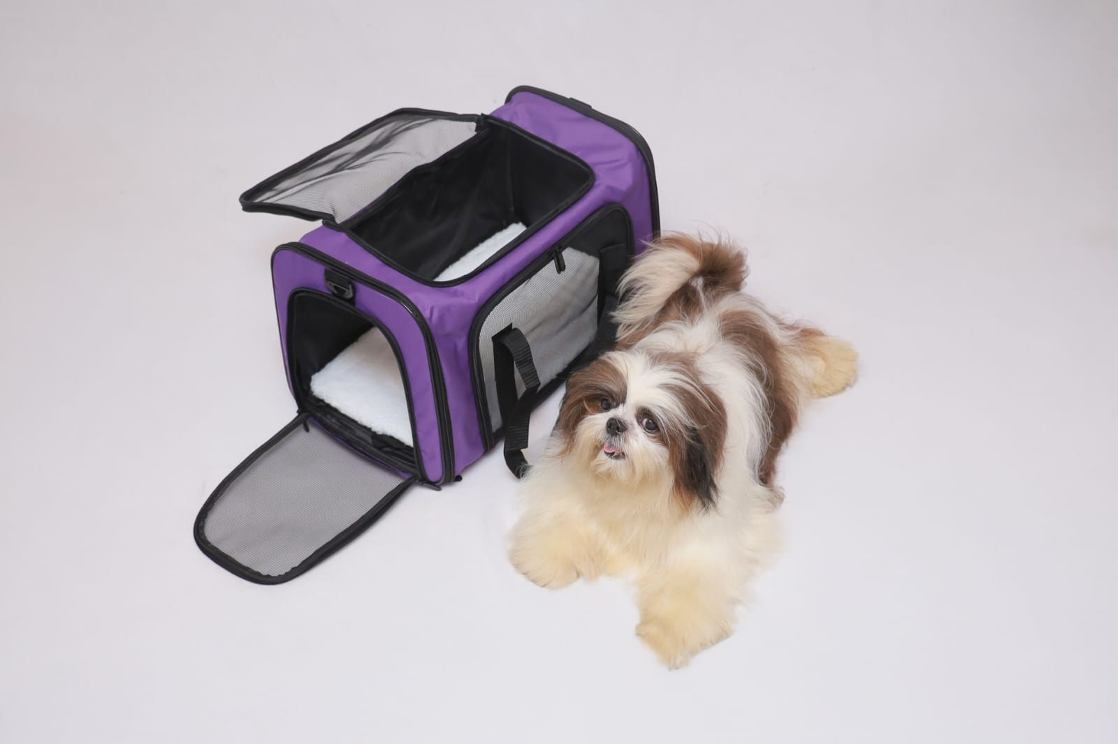 IATA Approved Dog Bag | 21 Inches | Purple