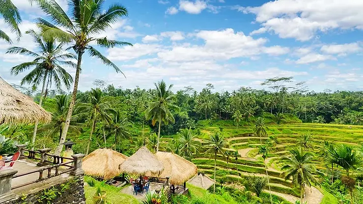 Cannes: United Media Asia Plans to Build Studio Facility in Bali, Indonesia