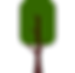 Tree-3