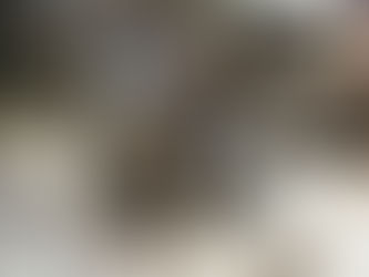 Queen Elizabeth II: Unexpected Car Lover