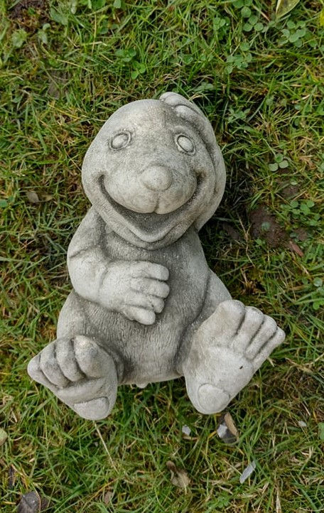 Laughing mole