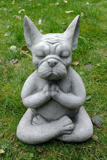 Yoga Frenchie