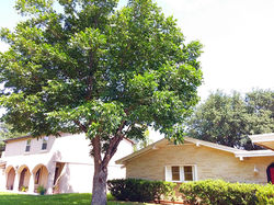 20180519_155708_edited