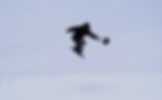 Group 85-2.jpg