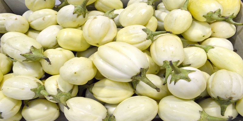 Aubergine blanche