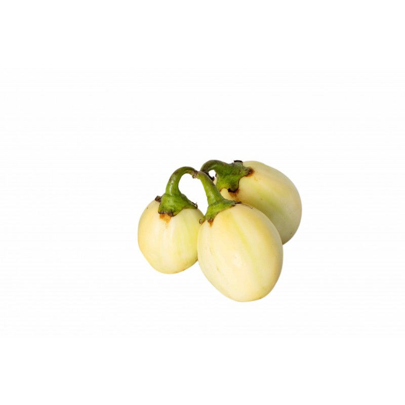 Miniature : Aubergine blanche