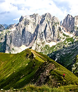 shutterstock_151704614_edited.jpg