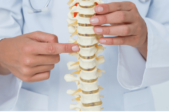 Perfect Spine