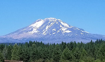 mtadams_300.jpg