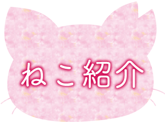 B-05.gif