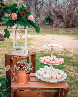 WhatsApp Image 2023-04-13 at 14.29.44