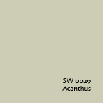 SW 0029 Acanthus