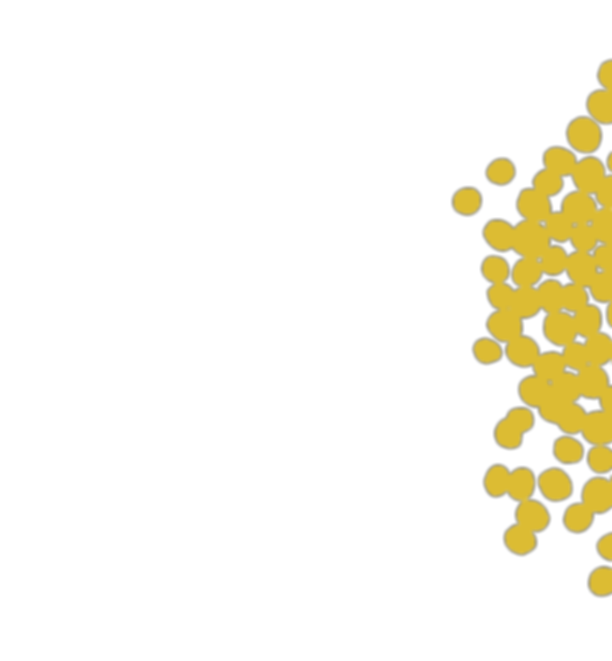 MUSTARD_seeds_edited_edited_edited_edited.png