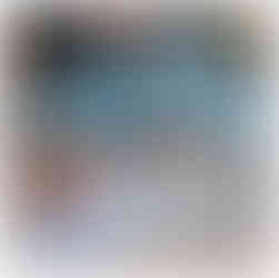 領導力、時間管理、風險評估和管理、適應性和靈活性