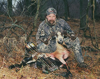 Joe Sheep Hunt