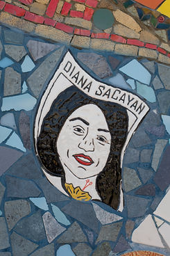 Diana Sacayán