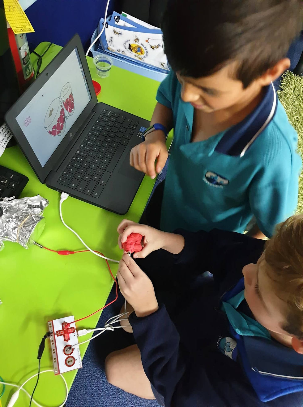 67950150_425663284709711_504963226295861