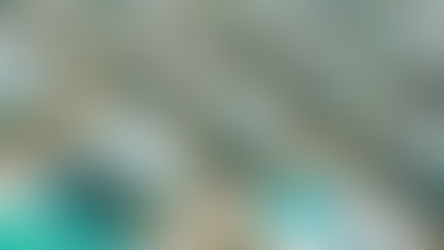 Customized Real Estate Solutions for Cayman Islands Investors