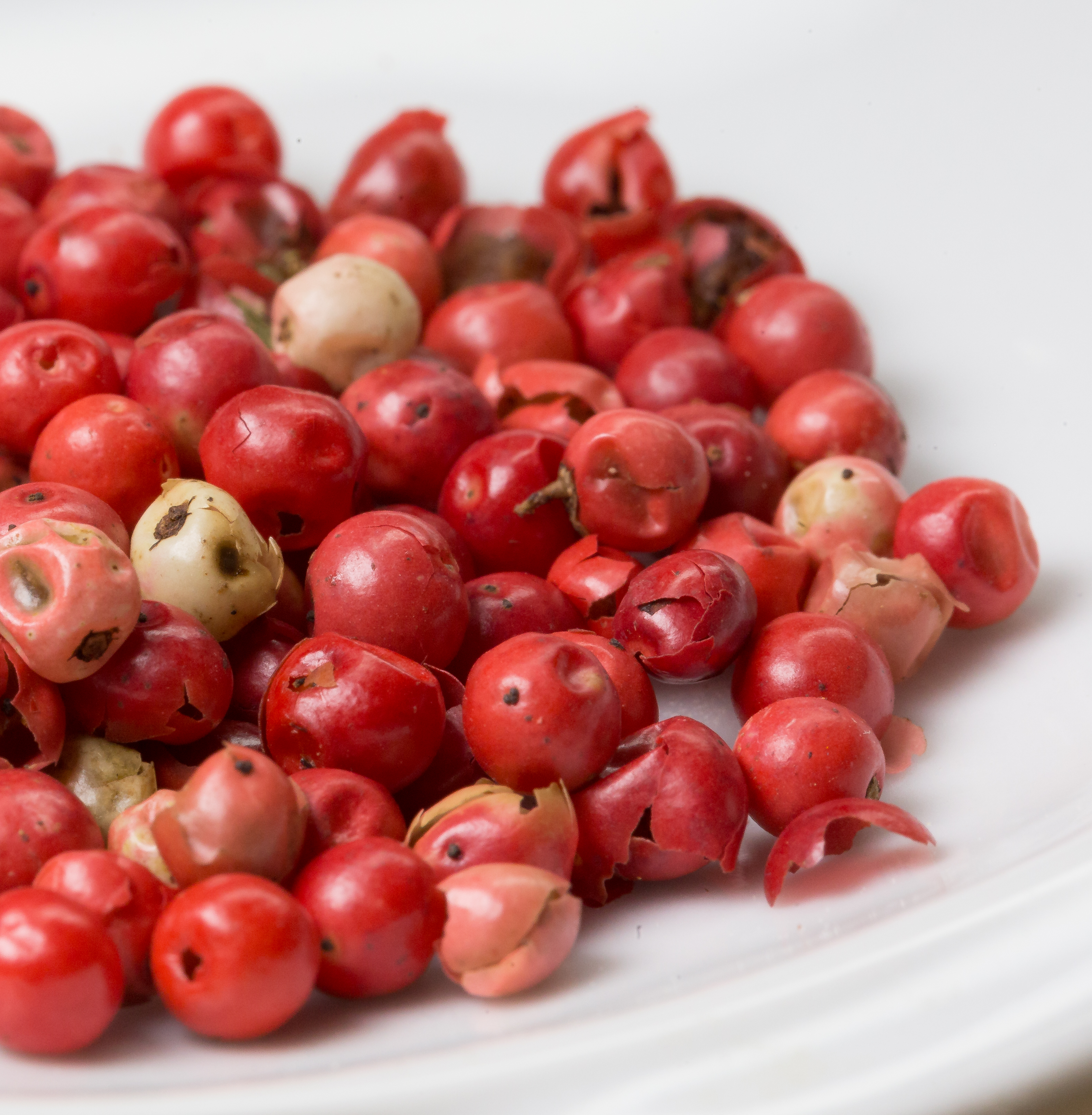 pink peppercorn lemon thyme pink peppercorn lemon thyme